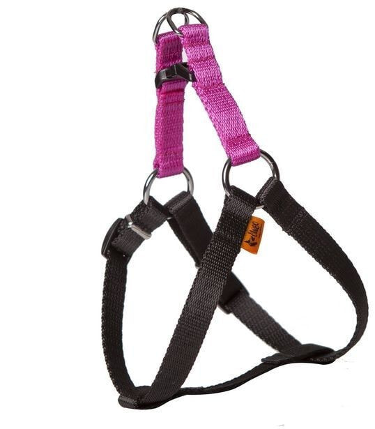 Dingo Dog FRED harness with ENERGY tape, pink, size 50
