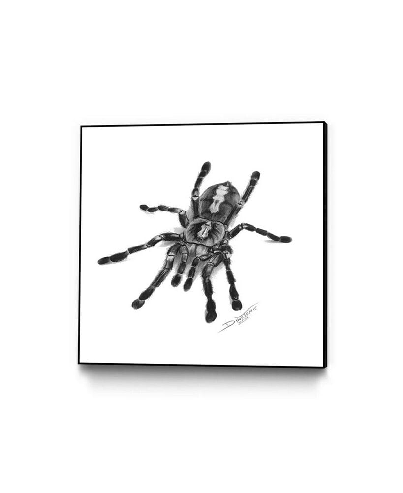 Eyes On Walls dino Tomic Spider Art Block Framed 18