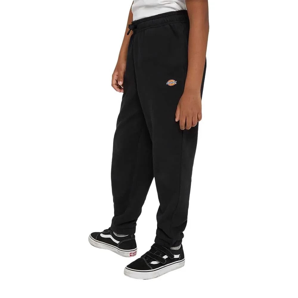 DICKIES Youth Mapleton Sweat Pants