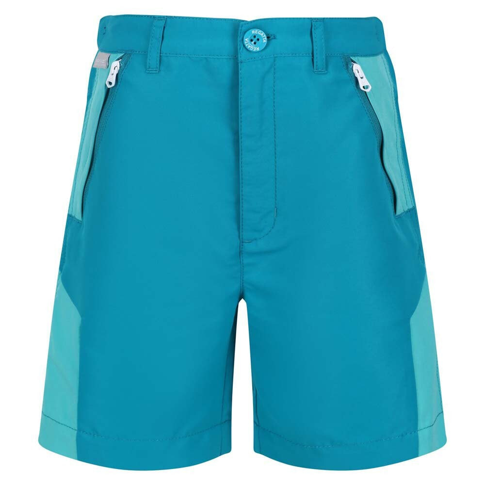 REGATTA Sorcer Mount II Shorts