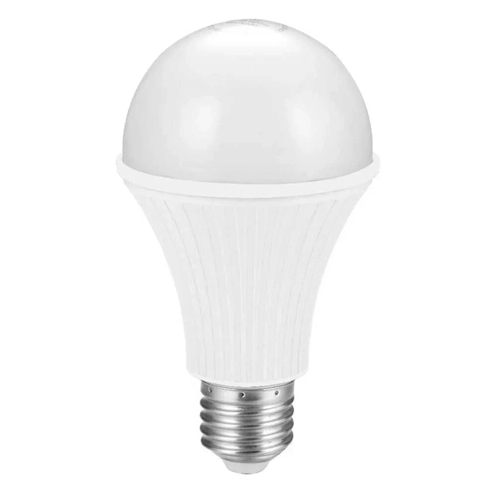 PRIMUX Globe E27 8W 3000K LED Bulb