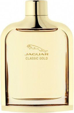 Мужские духи Jaguar Classic Gold EDT 100 ml