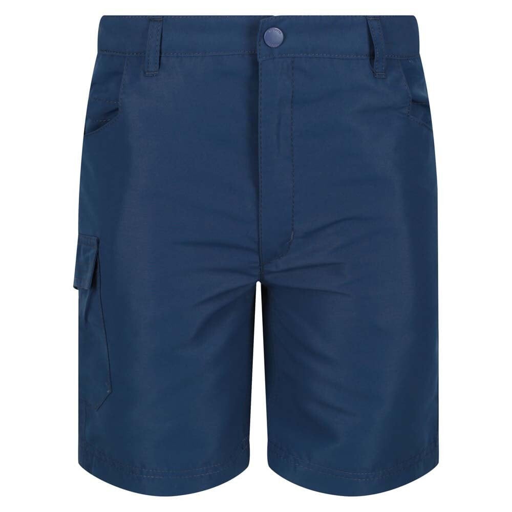 REGATTA Sorcer II Shorts