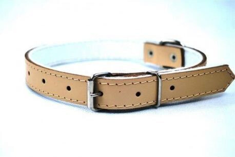 CHABA LEATHER COLLAR 25mm / 65cm NATURE