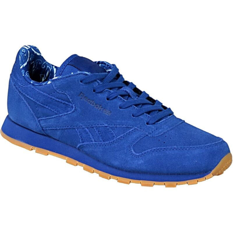 Reebok Classic Leather TDC JR BD5052 shoes