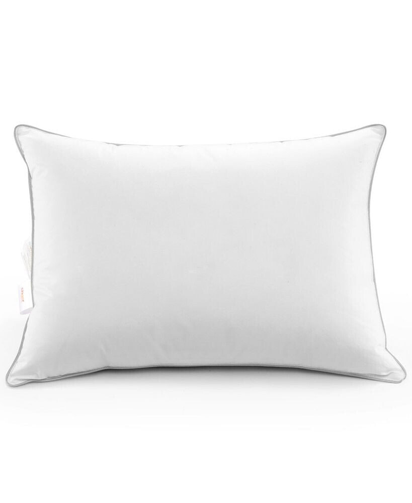 Cheer Collection 2-Pack of Down Alternative Pillows, Standard