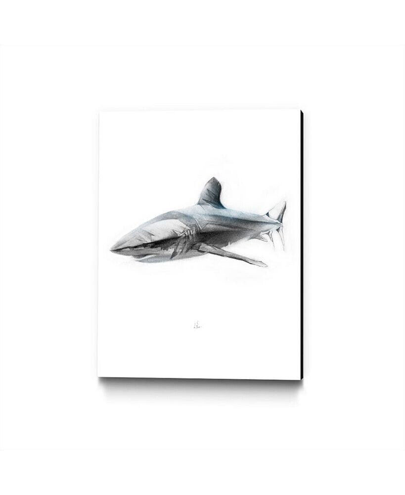 Eyes On Walls alexis Marcou Shark 1 Museum Mounted Canvas 24