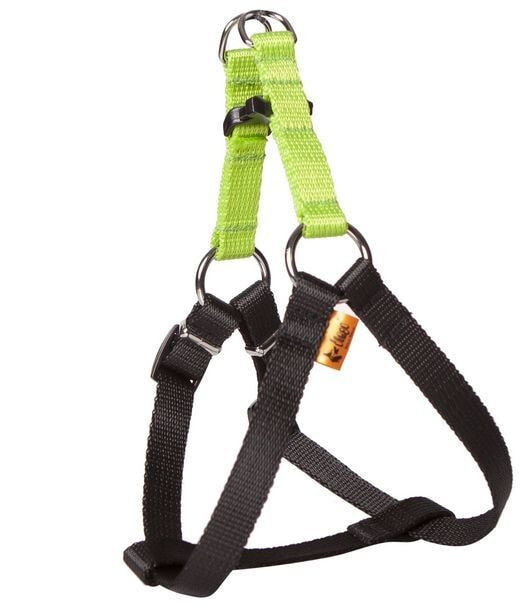 Dingo FRED harness for a dog with ENERGY tape, green 85
