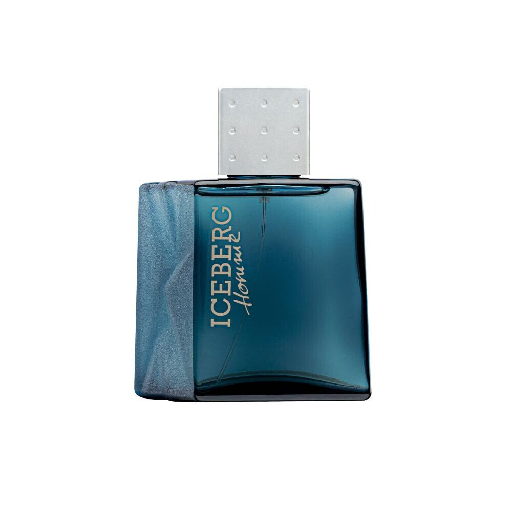 Iceberg Homme 100 ml eau de toilette für Herren