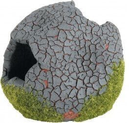Zolux Ball with moss ETNA S