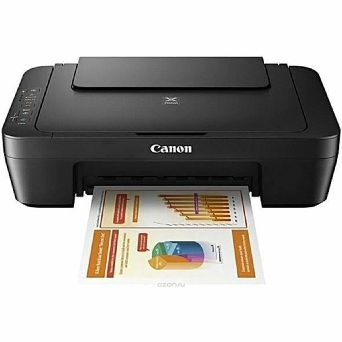 Multifunction Printer Canon MG2551S