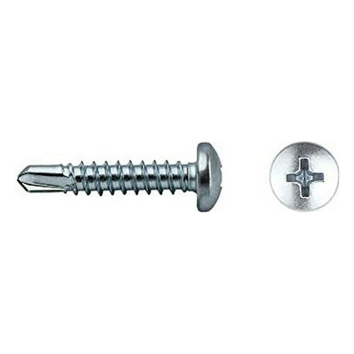 Self-tapping screw CELO Galvanised PH2 19 mm (500 Units) (250 Units)