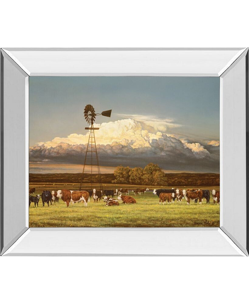 Classy Art summer Pastures by Bonnie Mohr Mirror Framed Print Wall Art, 22