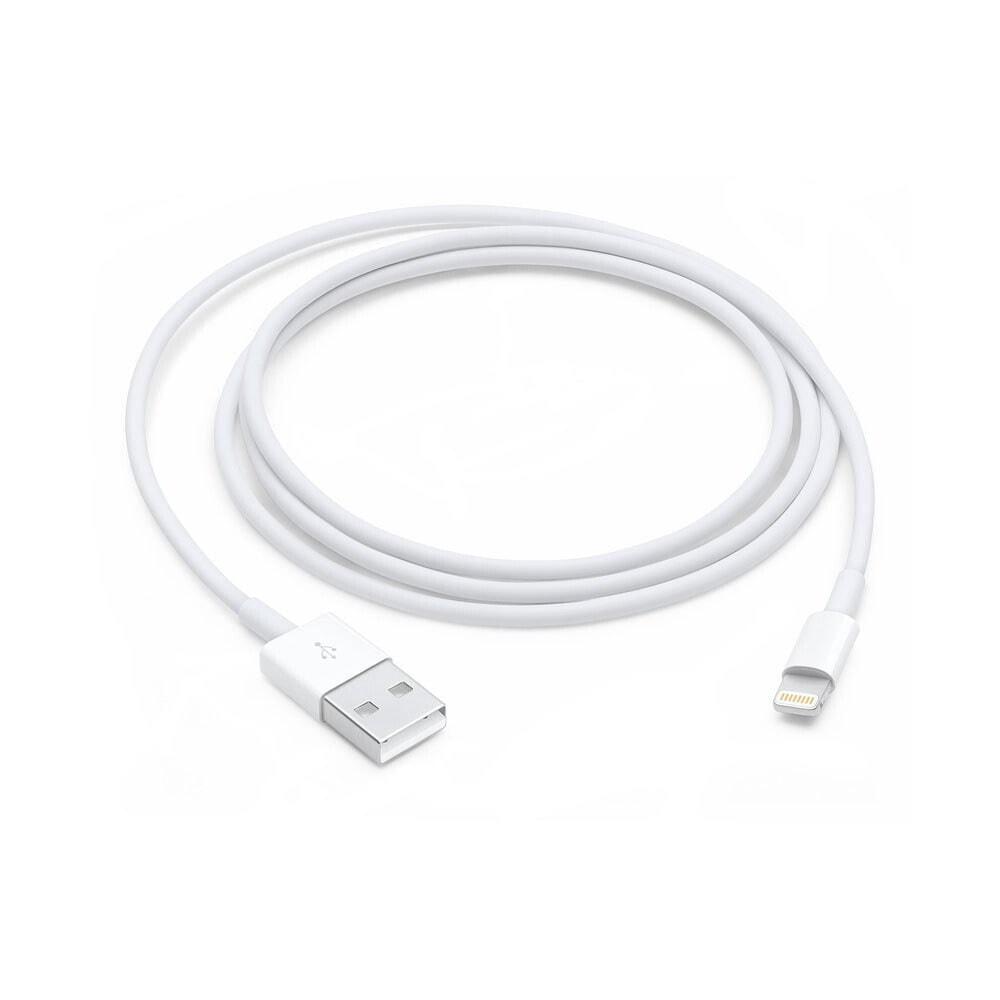 APPLE Lightning To 1 usb cable