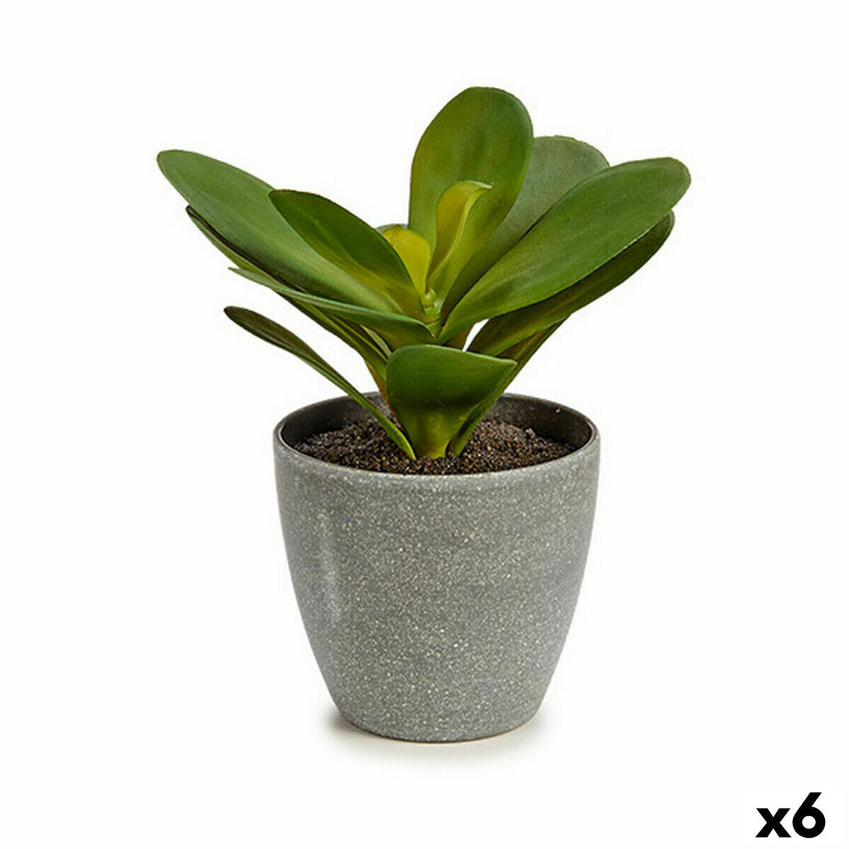 Декоративное растение Листья Круглая Пластик 11 x 15 x 11 cm (6 штук)