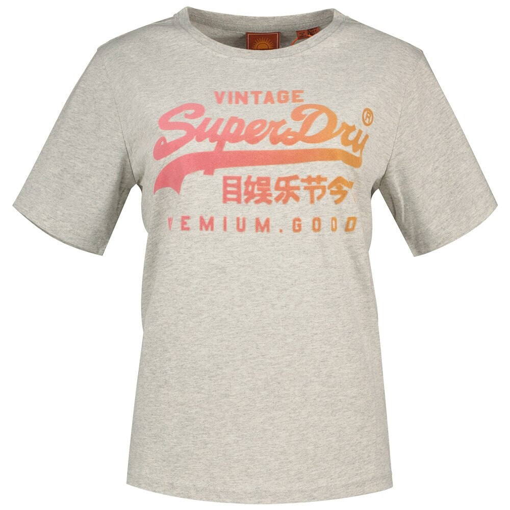 SUPERDRY Tonal Vl Graphic Relaxed Short Sleeve T-Shirt