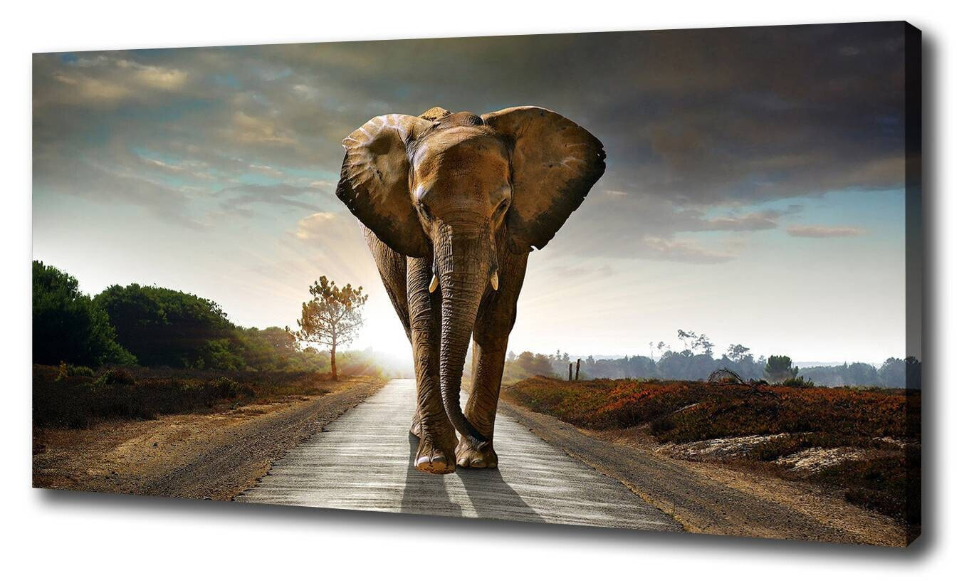 Wandbild Elefant