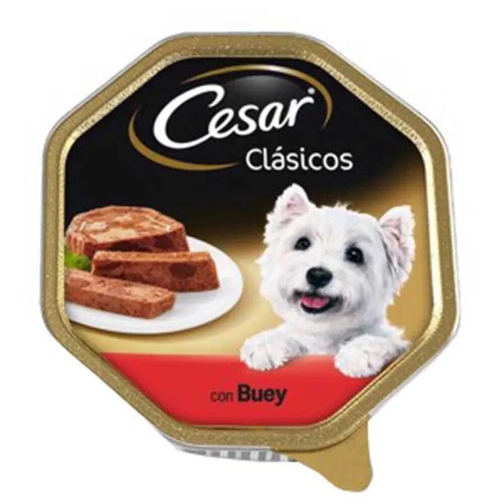 CESAR Dog ox food 150g 14 units