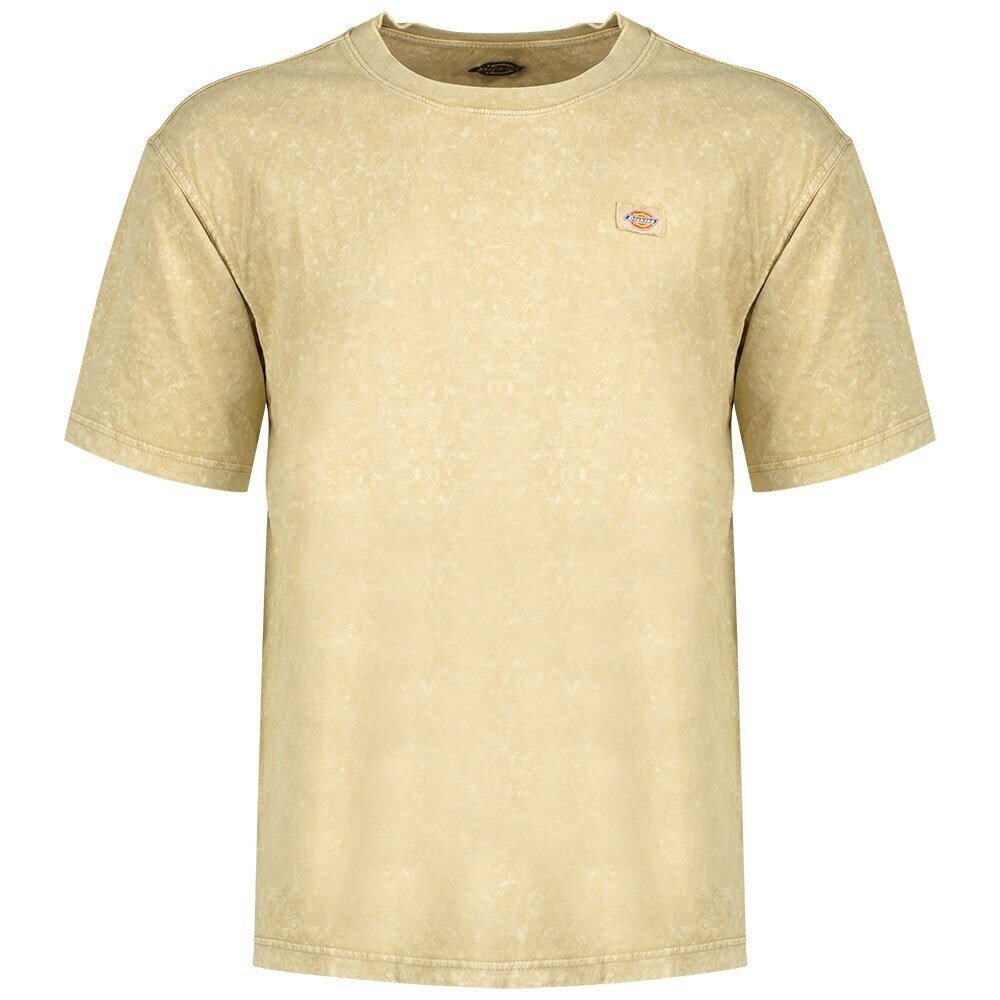 DICKIES Newington Short Sleeve T-Shirt