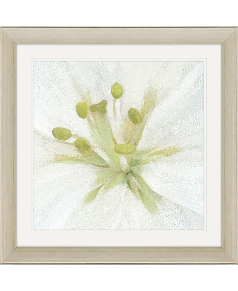 Paragon Picture Gallery floral Fresh - Focal Framed Art