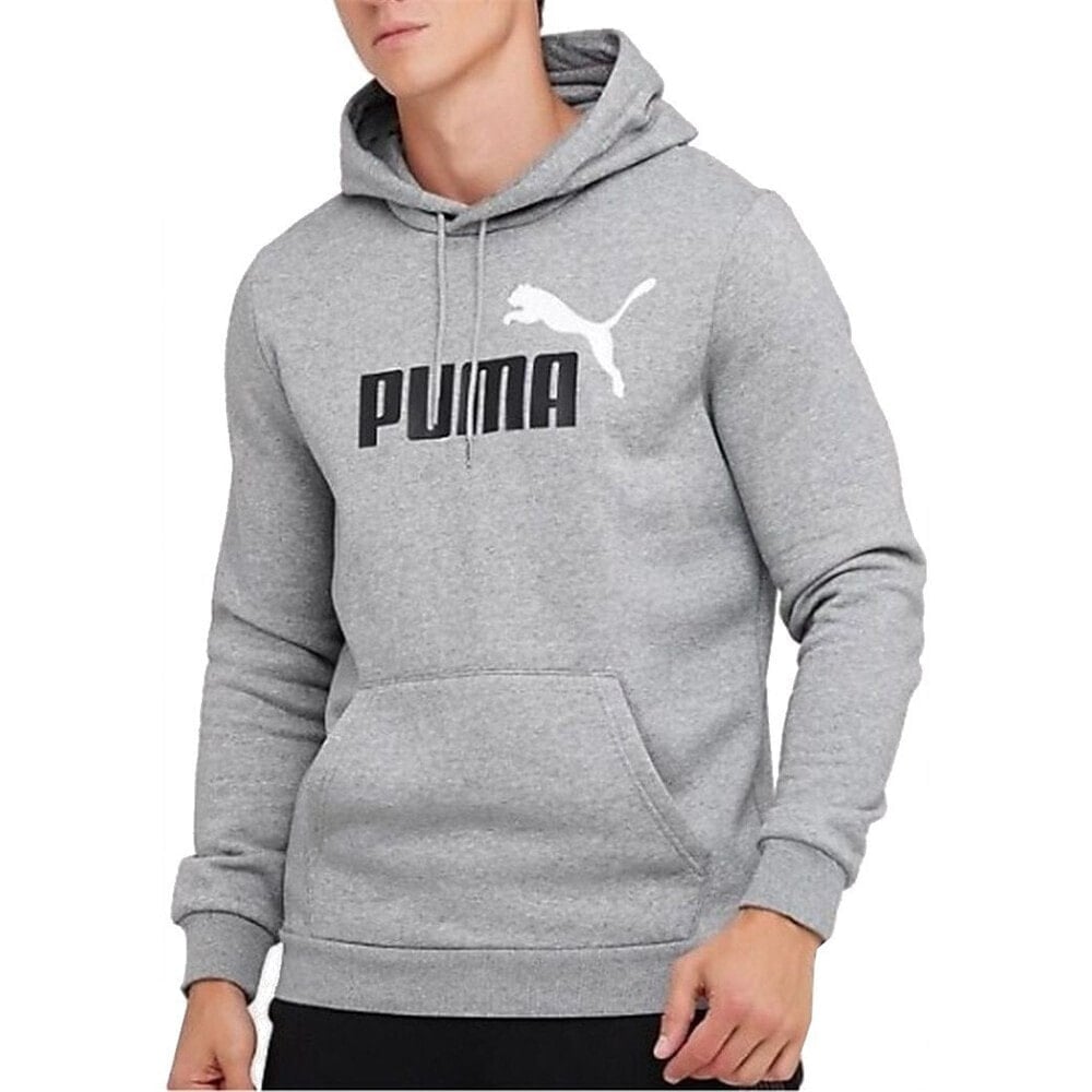 Puma Ess 2 Col Big Logo Hoodie