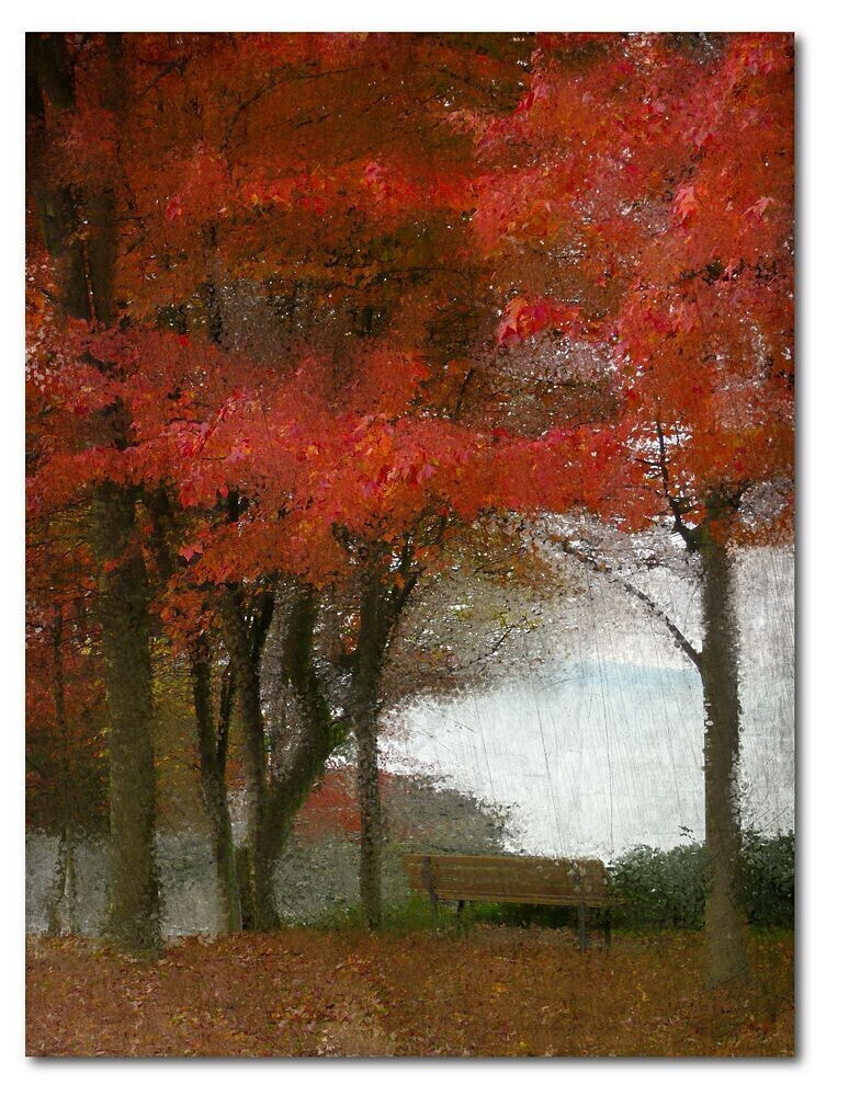 Courtside Market maple Tree Walk Gallery-Wrapped Canvas Wall Art - 16