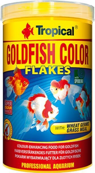Tropical Goldfish Color can 100 ml / 20g
