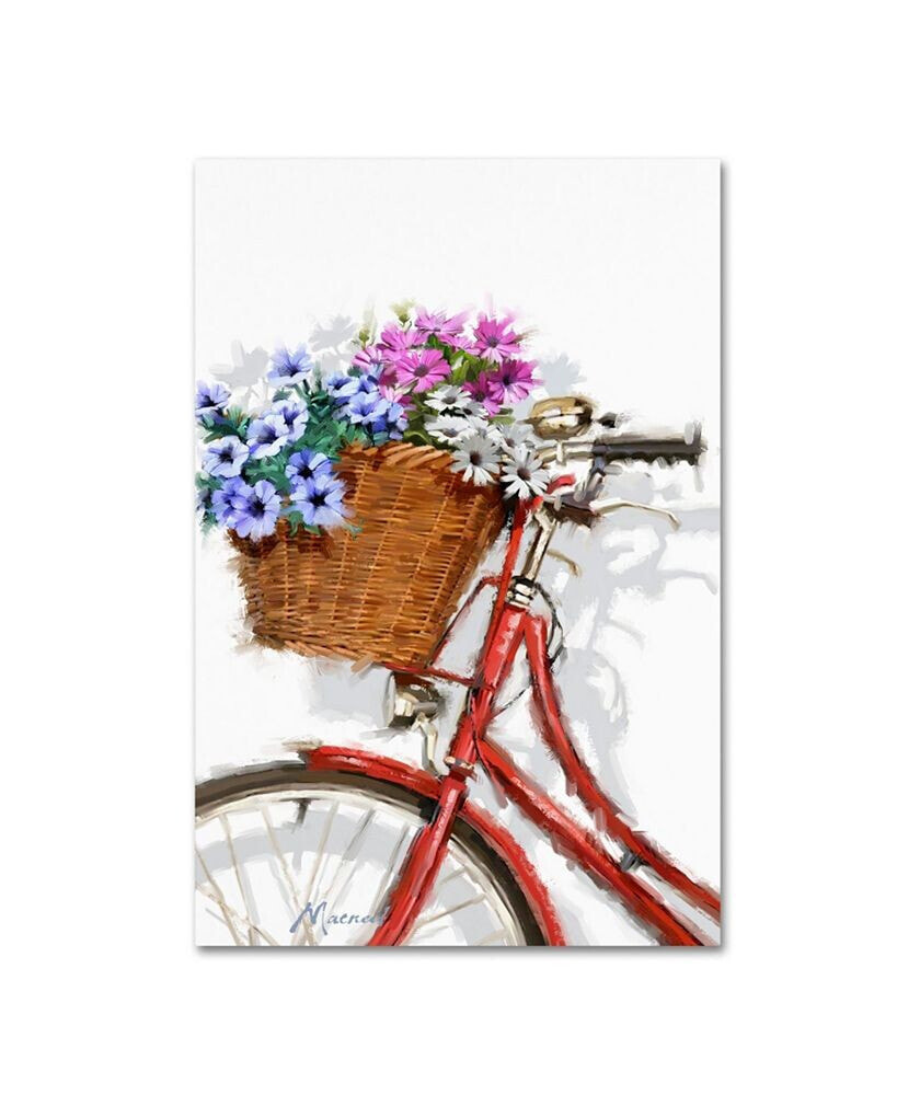 Trademark Global the Macneil Studio 'Bicycle With Basket' Canvas Art - 12