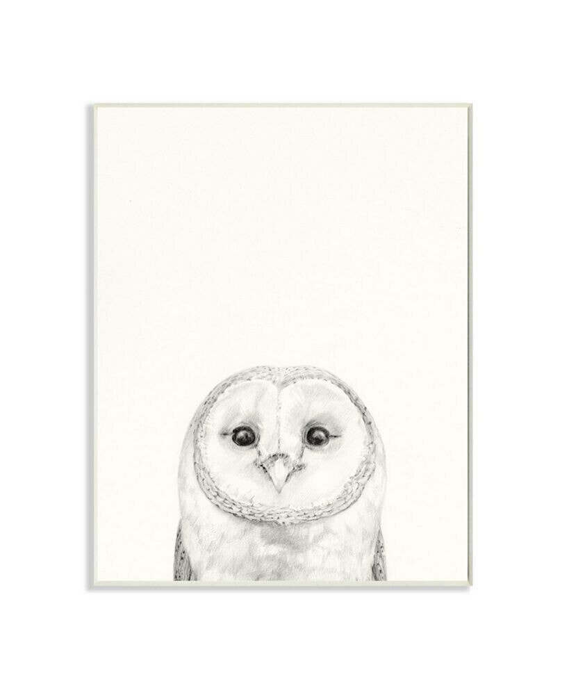 Stupell Industries owl Portrait Gray Drawing Design Art, 13