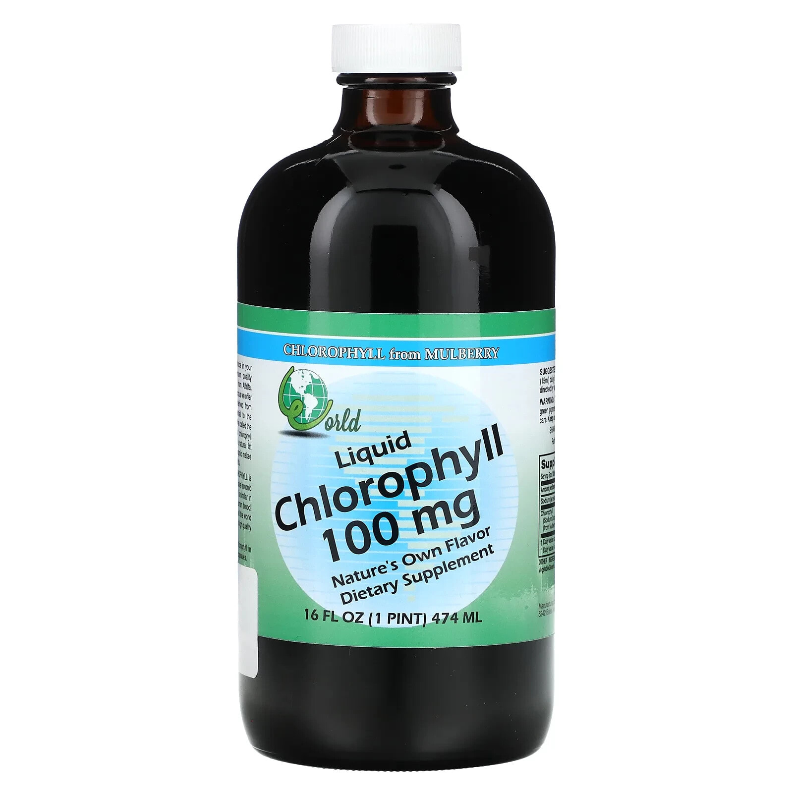 Liquid Chlorophyll, 100 mg , 16 fl oz (474 ml)