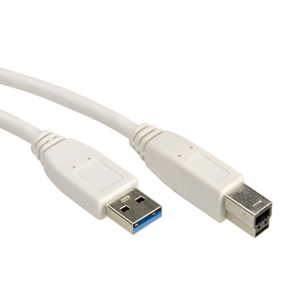 Value USB A/USB B 0.8m USB кабель 0,8 m 3.2 Gen 1 (3.1 Gen 1) Белый 11.99.8869