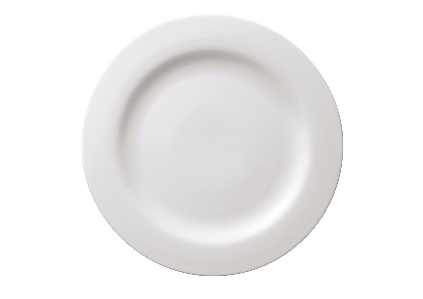 Rosenthal moon White Dinner Plate