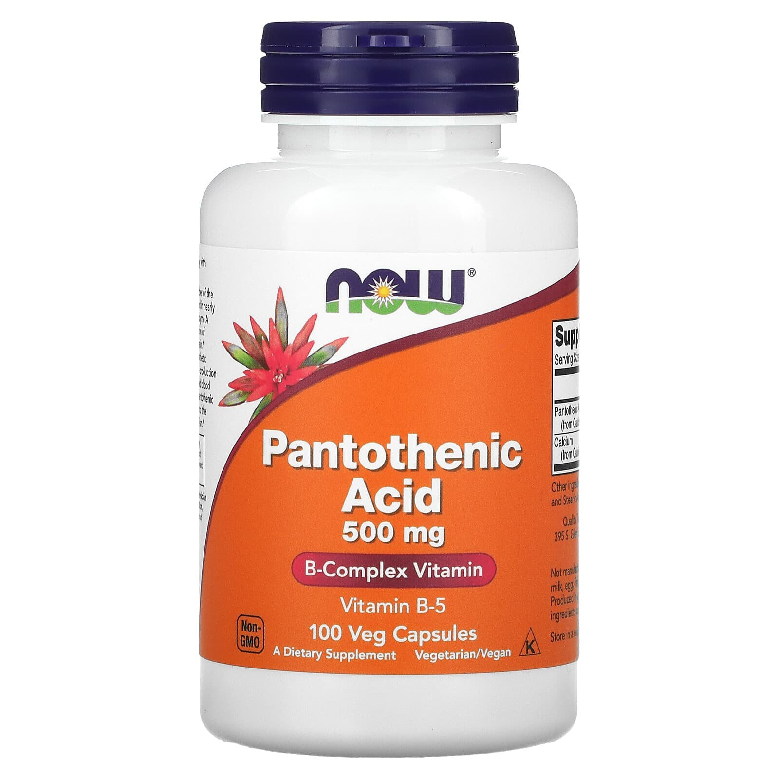 Pantothenic Acid, 500 mg, 250 Veg Capsules
