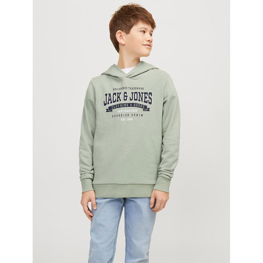 JACK & JONES Elogo 2 Hoodie