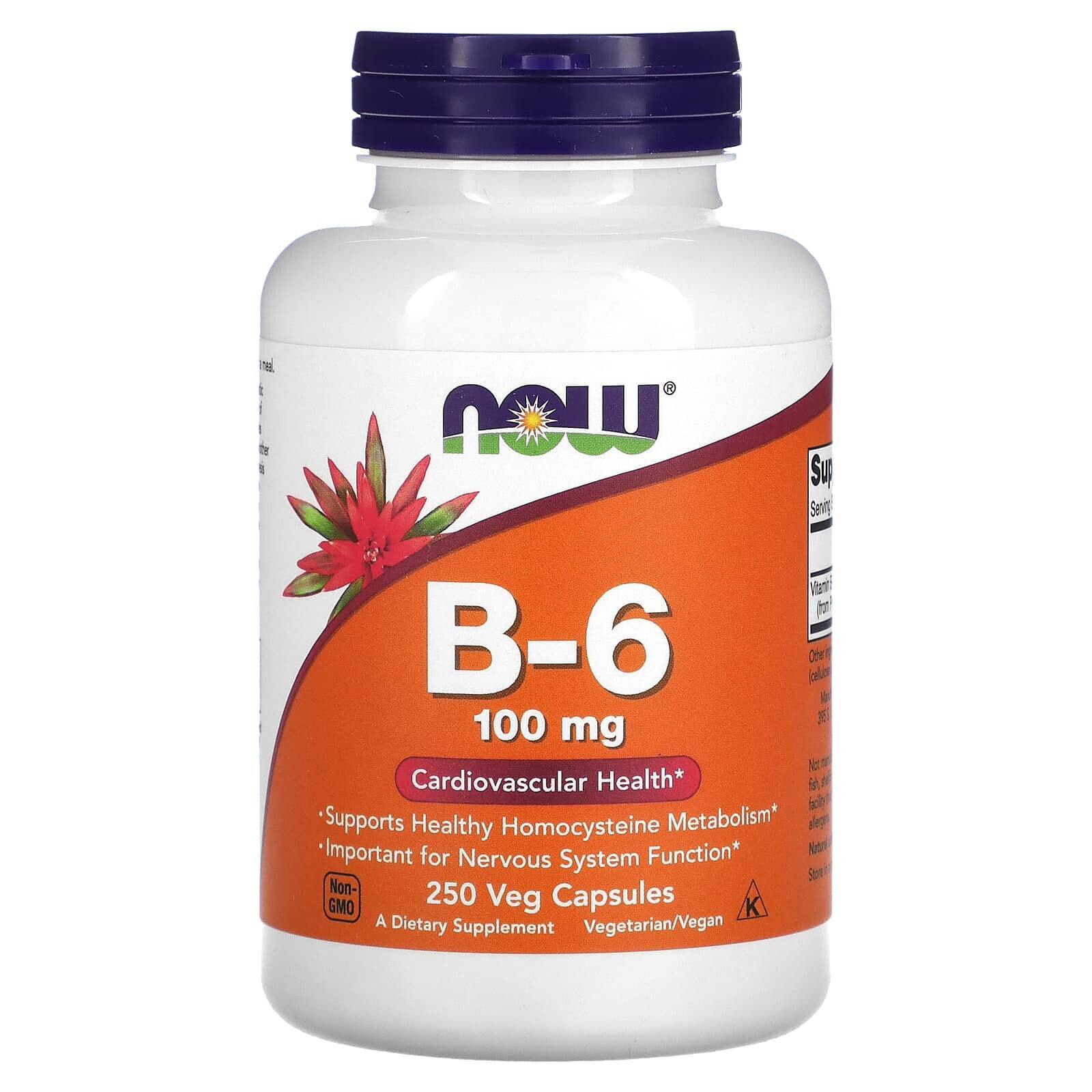 NOW Foods B-6 Витамин В-6 для сердечно-сосудистого здоровья 100 мг 250 капсул