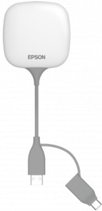 Epson ELPWP10 V12HA41040