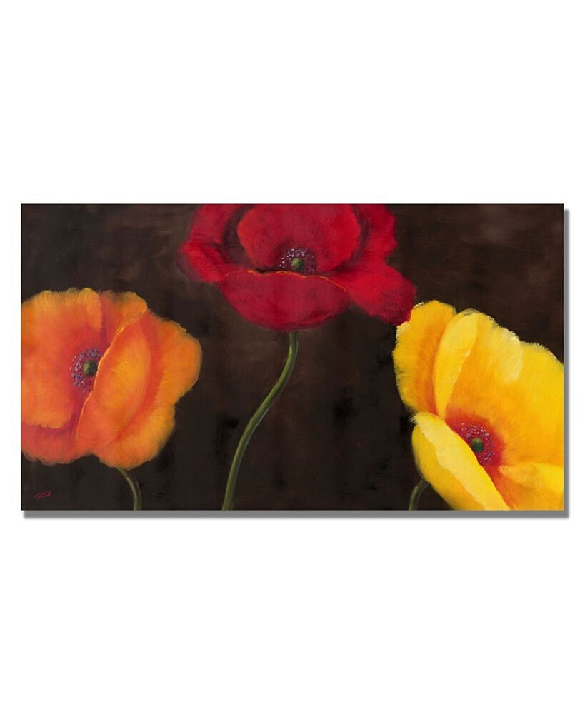 Trademark Global rio 'Orange Red and Yellow' Canvas Art - 47