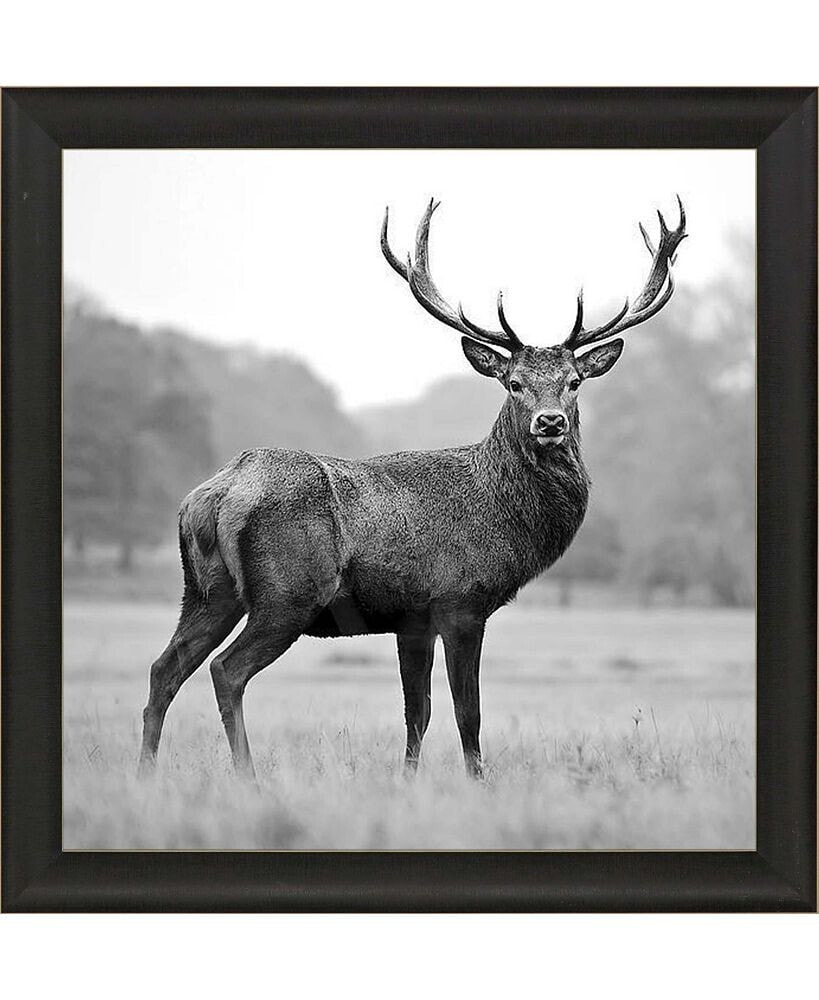 Paragon Picture Gallery proud Deer Framed Art