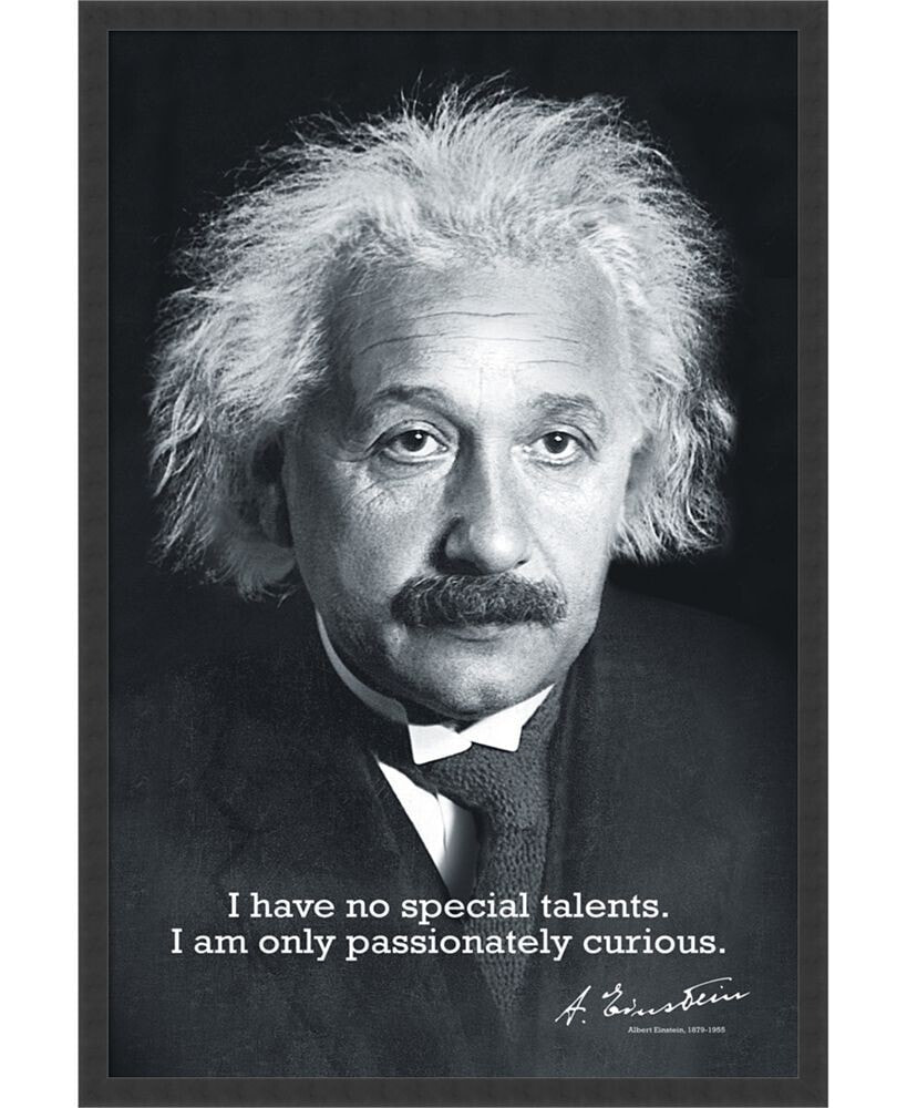 Einstein Curiosity- Framed Art Print