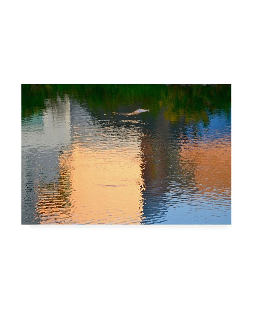 Trademark Global ulpi Gonzale Reflection on the Iowa River No. 1 Canvas Art - 15.5