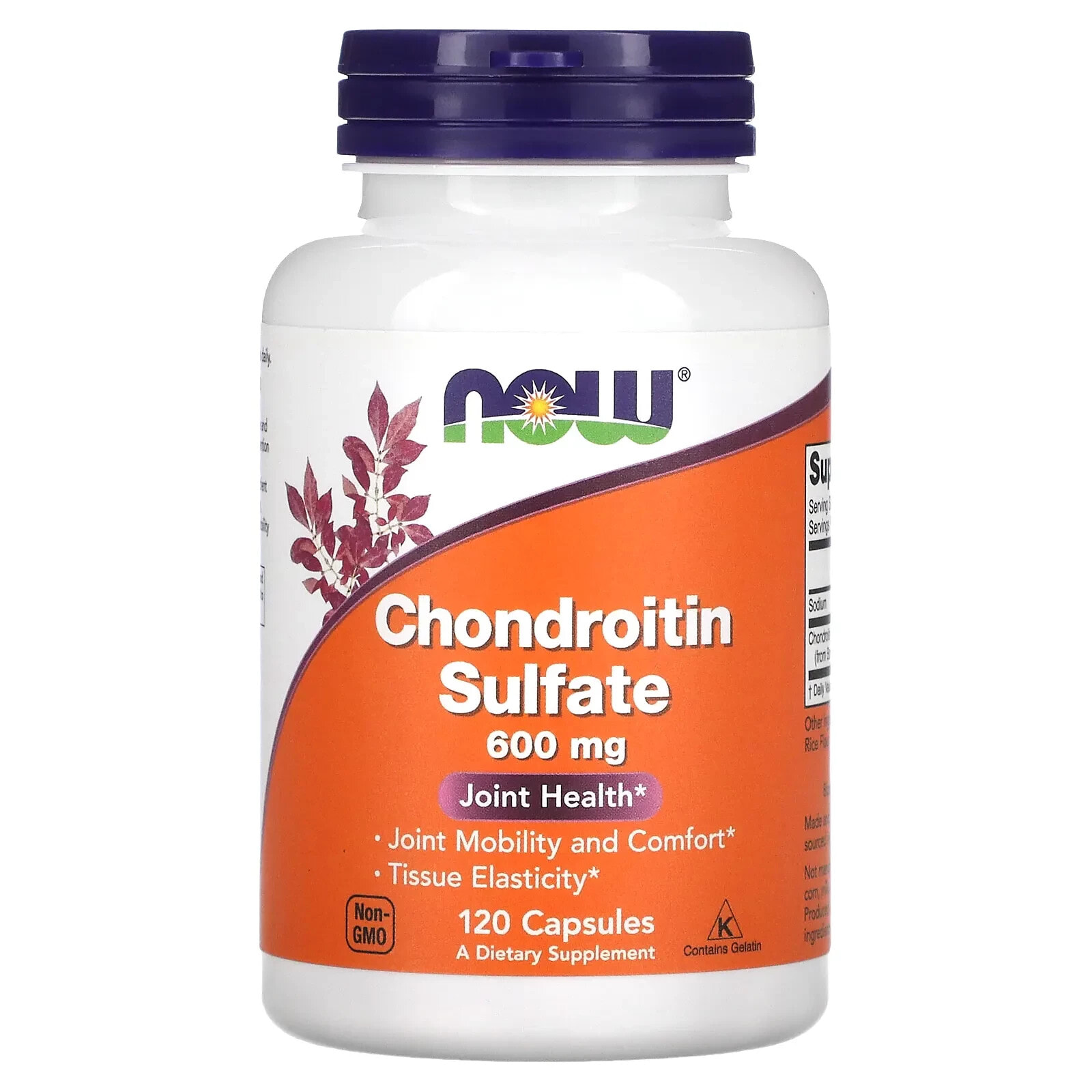 NOW Chondroitin Sulfate Хондроитинсульфат для здоровья и подвижности суставов 600 мг 120 капсул