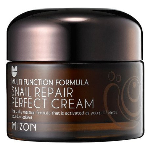 Увлажняющий крем для сухой кожи лица Mizon Face cream with snail secretion filtrate 60% for problematic skin (Snail Repair Perfect Cream) 50 ml