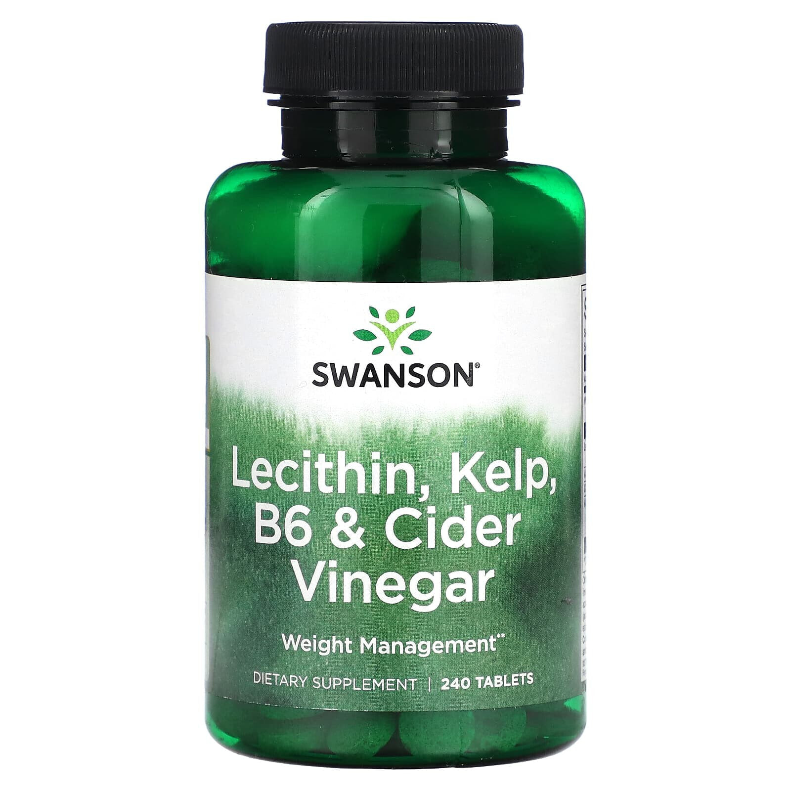 Lecithin, Kelp, B6 & Cider Vinegar, Extra Strength, 120 Tablets