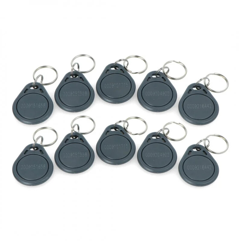 RFID keychain S103N-GY - 125kHz - compatible with EM4100 - grey - 10pcs