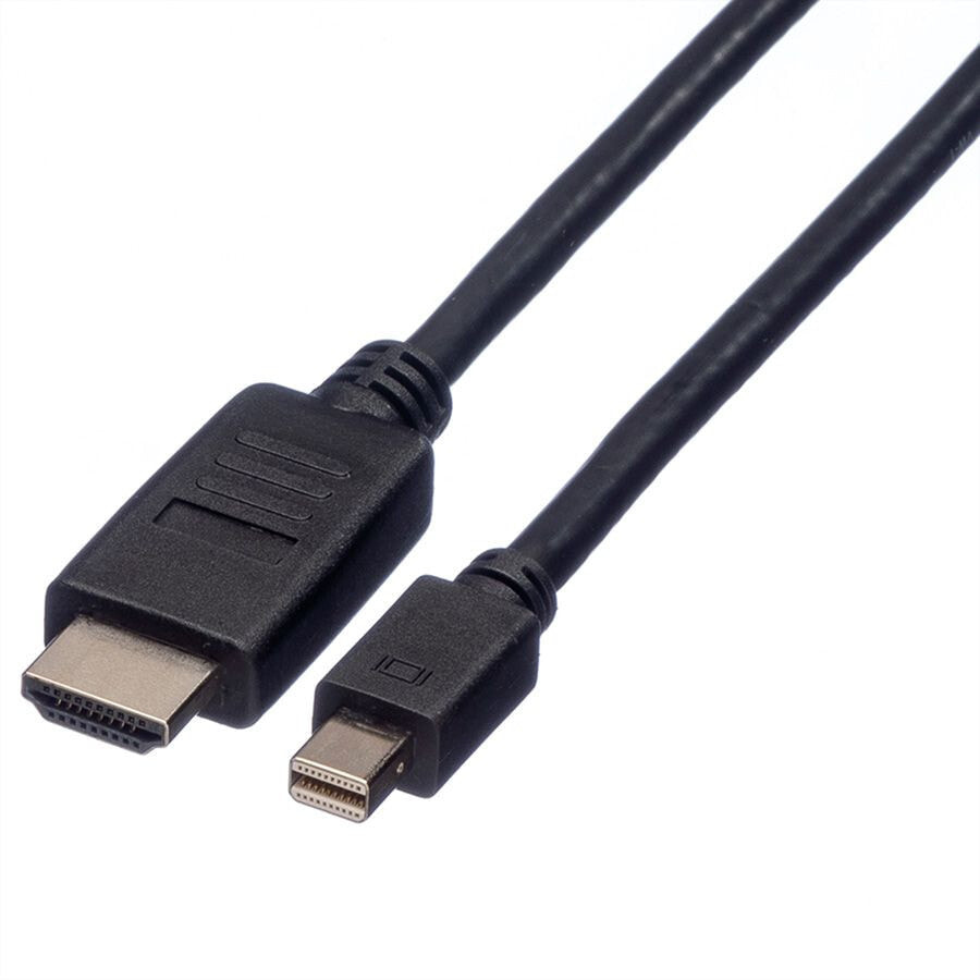 ROLINE 11.04.5790 видео кабель адаптер 1 m Mini DisplayPort Черный