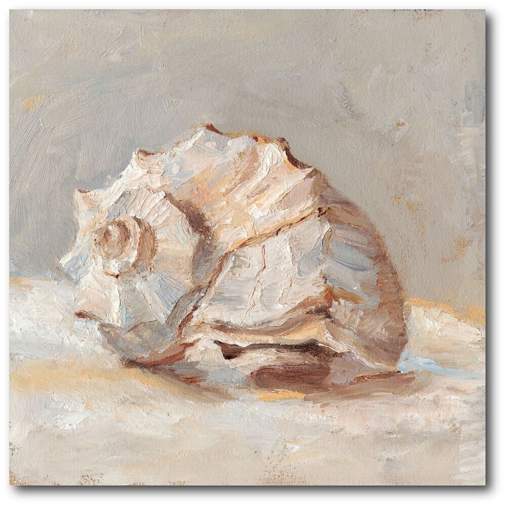 Courtside Market impressionist Shell Study II Gallery-Wrapped Canvas Wall Art - 20
