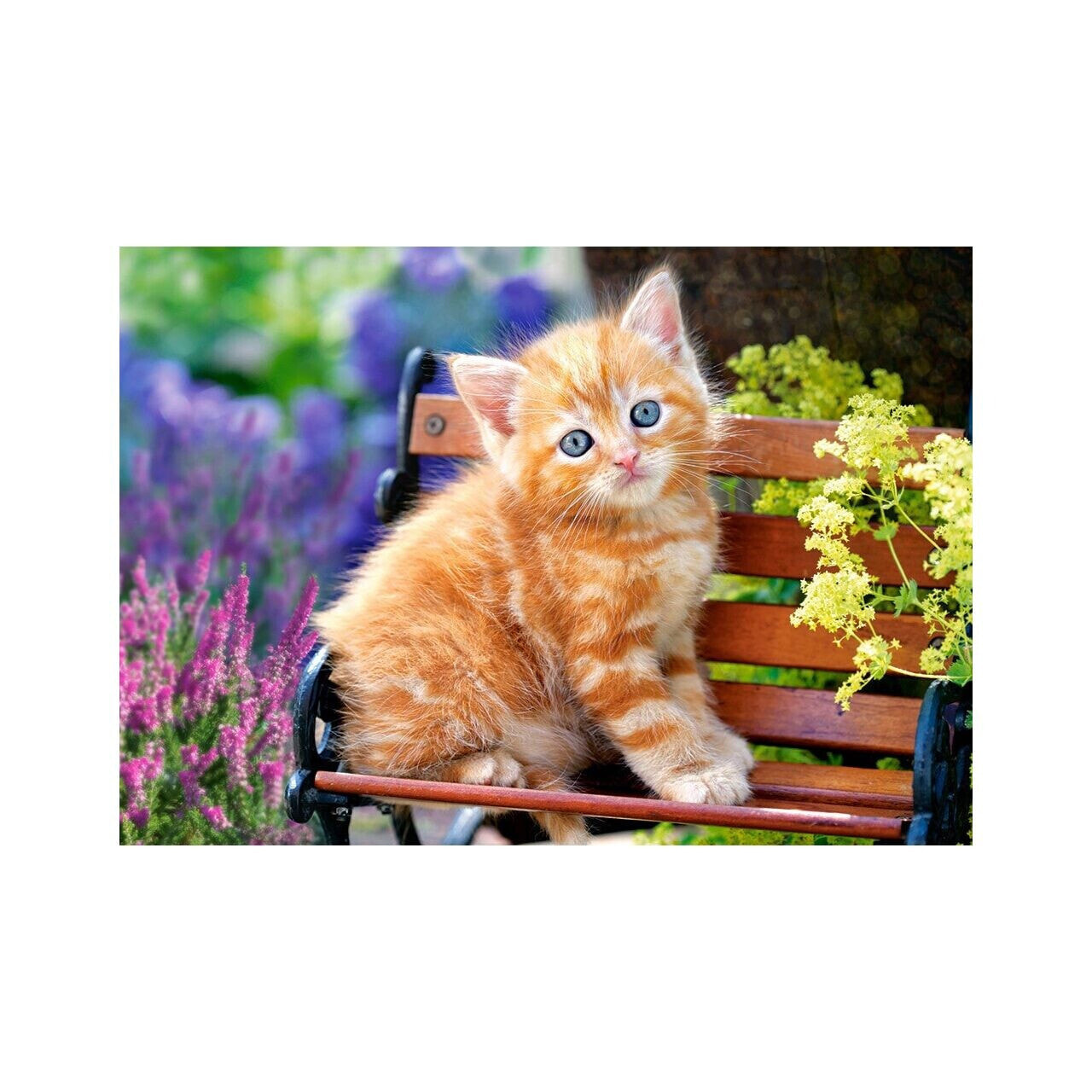 Puzzle Ginger Kitten 500 Teile