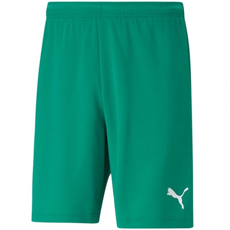 Мужские шорты спортивные зеленые Puma teamRISE Short M 704942 05