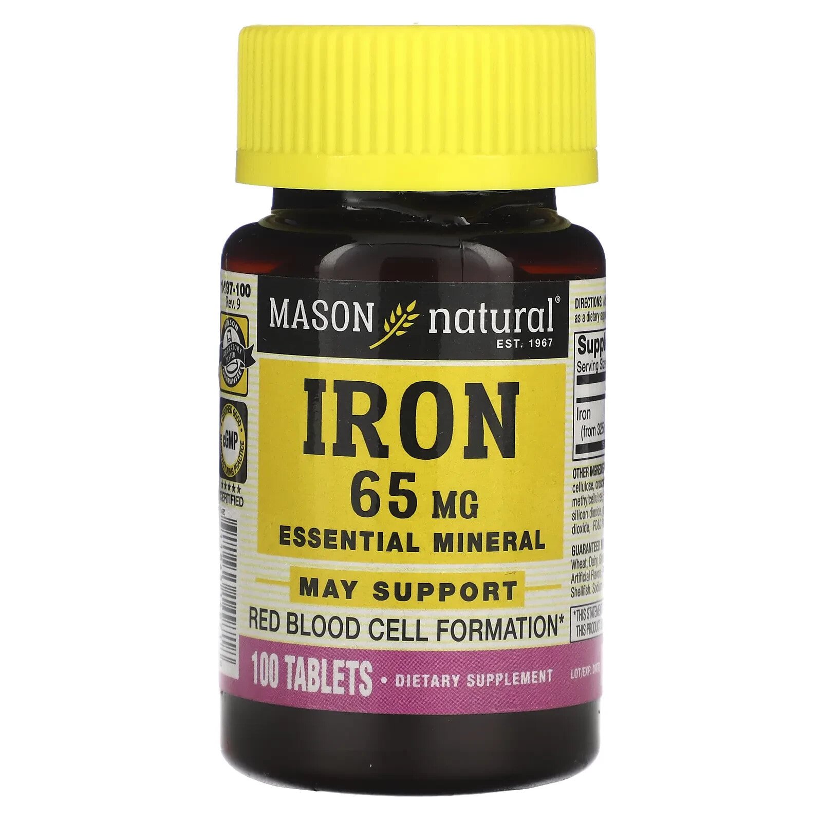 Iron, 65 mg, 100 Tablets