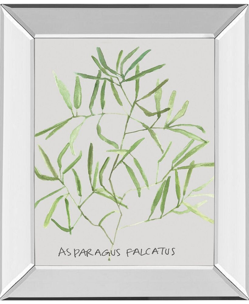 Classy Art asparogus Falcatus by Katrien Soeffers Mirror Framed Print Wall Art, 22